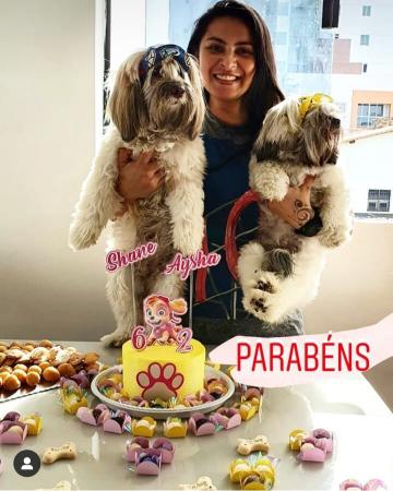 Festas de aniversário para cachorro crescem em todo Brasil