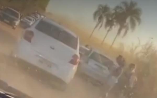 Policia é chamada após longa fila se formar  com pessoas que queriam tirar fotos em plantação de girassol