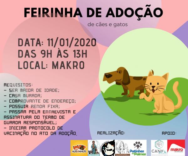 Feira de adoção de animais acontece neste sábado em Palmas