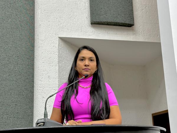 Deputada Vanda apresenta anteprojeto para criação do auxílio-aluguel para mulheres vítimas de violência no Tocantins